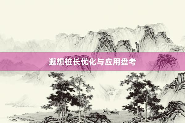 遐想桩长优化与应用盘考