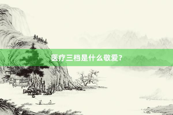 医疗三档是什么敬爱？