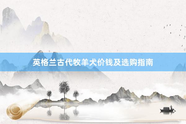 英格兰古代牧羊犬价钱及选购指南