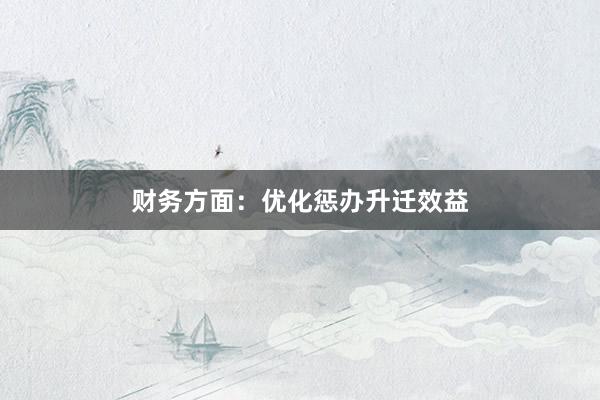 财务方面：优化惩办升迁效益