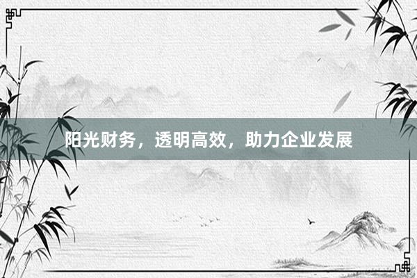 阳光财务，透明高效，助力企业发展